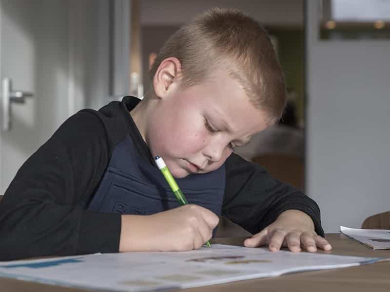 Bijenkorf school Wageningen